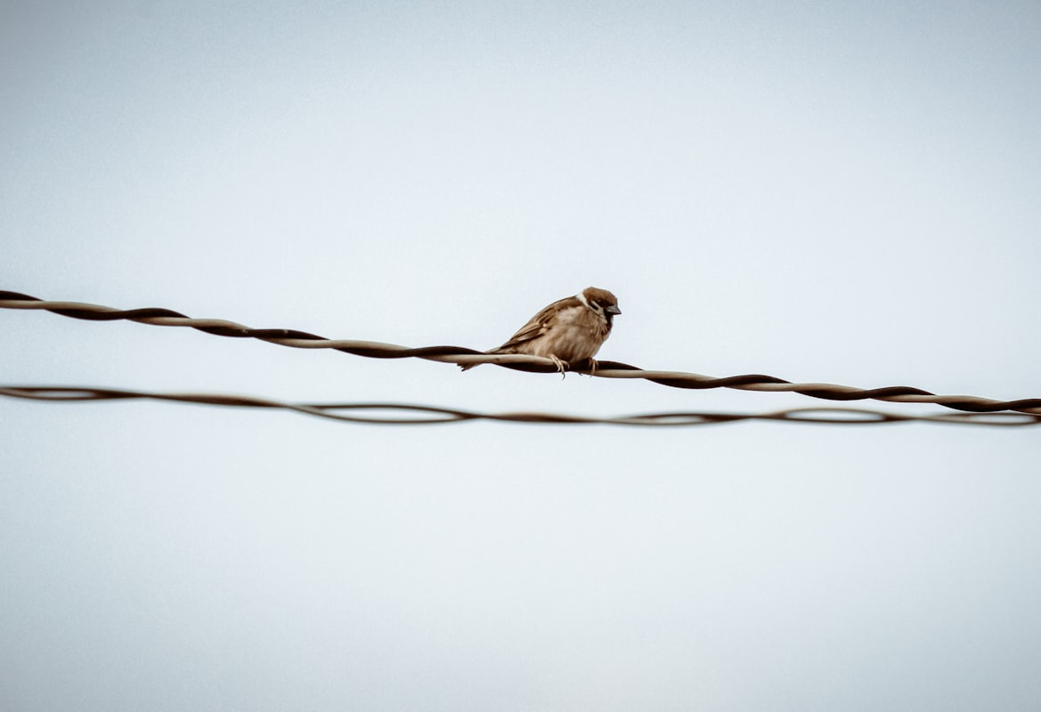 Keeping The Streak: Just Under The Wire. Something, Something, Error Handling.