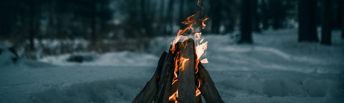 A fire in a winter forest